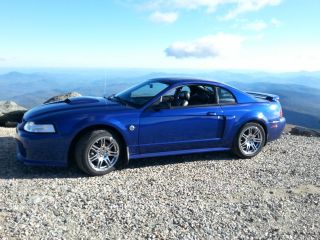 2004 Ford Mustang Gt photo