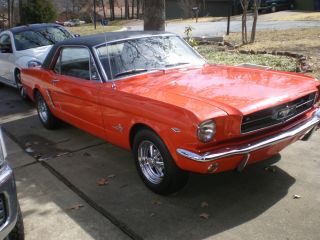 1965 Mustang 50th Anniversary photo