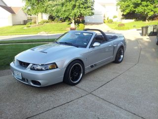 2004 Ford Mustang Svt Cobra Convertible 2 - Door Whipple Charged Supercar photo