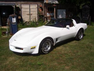 1981 Chevy Corvette photo