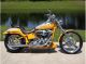 2004 Harley Davidson Screaming Eagle Softail Duece Softail photo 1