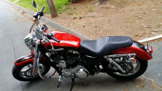 2013 Harley Davidson 1200 Sportster Custom photo