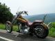 2003 Harley Davidson Deuce Softtail Chopper photo 1