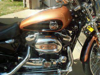 2008 Harley Sportster 1200 Anniversary Xlc photo