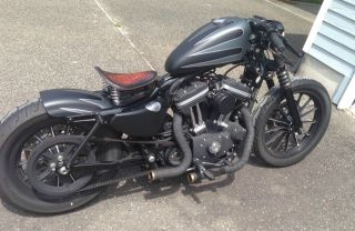 Custom 2009 Harley Davidson Iron 883 photo