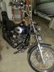 2009 Harley Davidson Softail Custom Softail photo 4