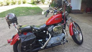 2002 883 Custom Harley Davidson Sportster W / Accersories And Modifications photo
