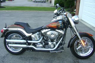 2008 Harley - Davidson Fatboy photo
