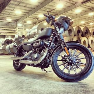 2013 Harley - Davidson® Sportster® 883 Iron Xl photo