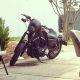 2013 Harley - Davidson® Sportster® 883 Iron Xl Sportster photo 5