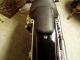 1996 Harley Davidson Softail Custom - Fxstc Softail photo 13
