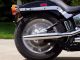 1996 Harley Davidson Softail Custom - Fxstc Softail photo 1