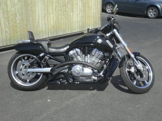 2009 Harley Davidson Vrod Muscle Motorcycle Black Punisher Vrscf photo