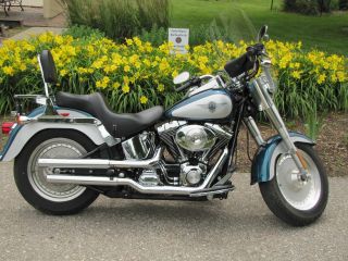 2004 Harley Davidson Fatboy Flstfi photo