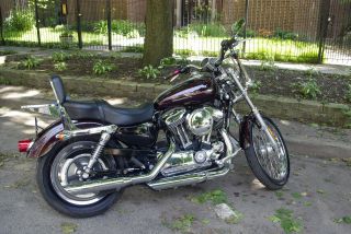 2006 Harley 1200 Custom Sportster photo