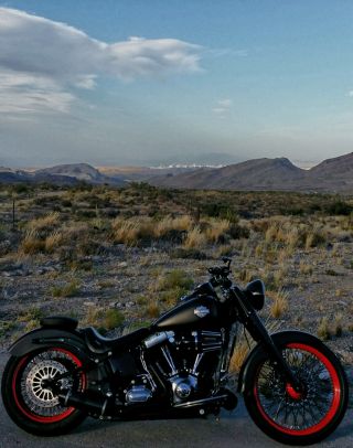 2012 Harley - Davidson Softail Slim Fls103 photo