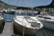 1979 Searay Srv 260 Cuddies photo 5