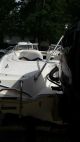 2003 Checkmate 2100 Pulsare Other Powerboats photo 6