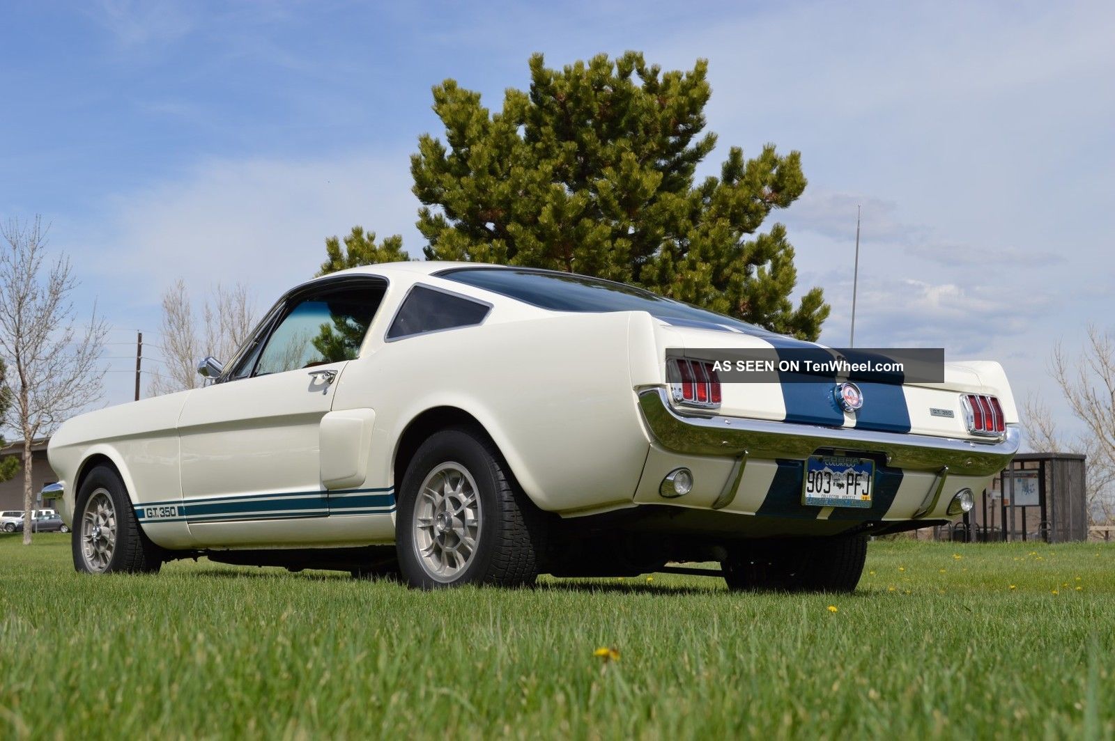 1966 Ford Mustang Shelby Gt - 350 Mustang photo